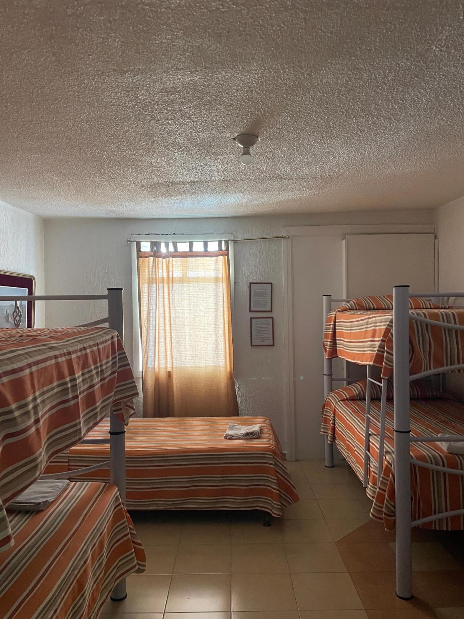 Bed 6-Bed Female Dormitory Room